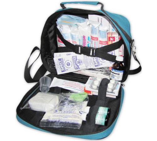 Аптечка ФЭСТ противоожоговая футляр-сумка (арт.1252)